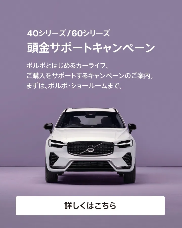 Volvo（ノベルティグッズ）のフリマアイテム一覧